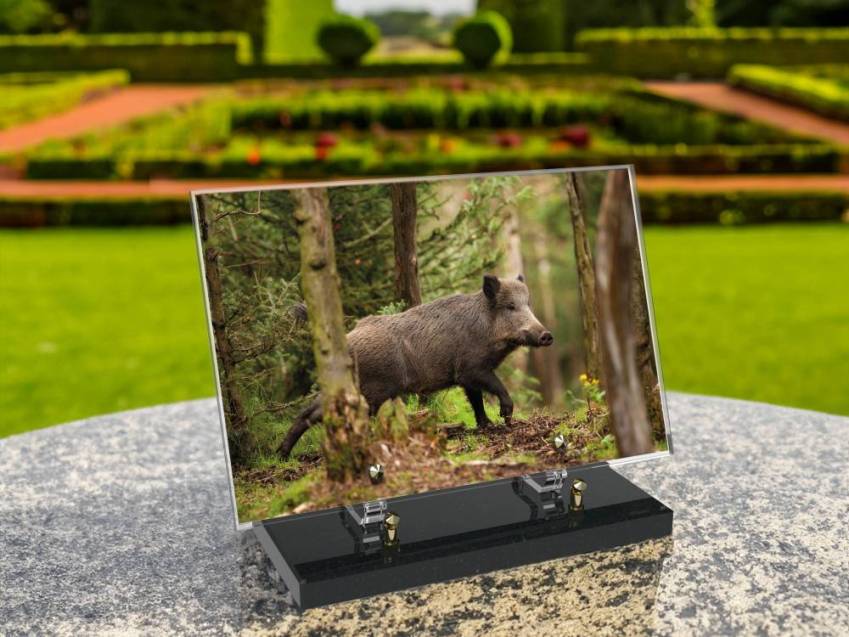Plaque Plexiglas Rectangle Chasse