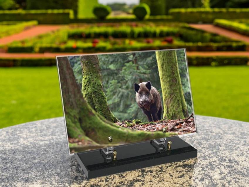 Plaque Plexiglas Rectangle Chasse