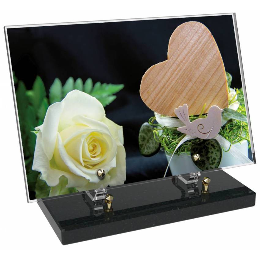 Epic Rectangular Plexiglas passion