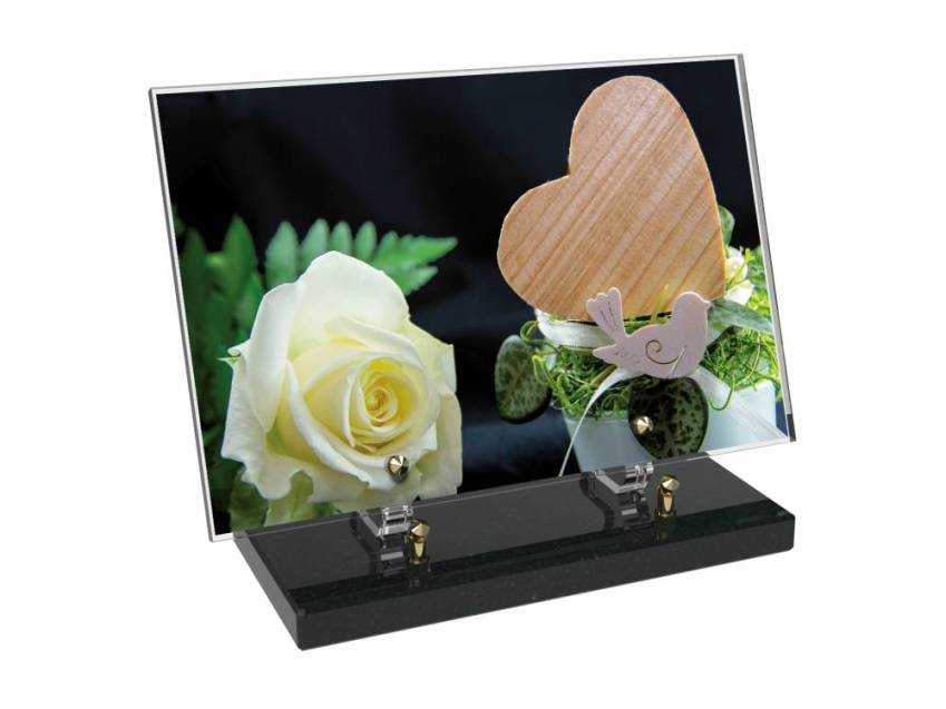 Epic Rectangular Plexiglas passion