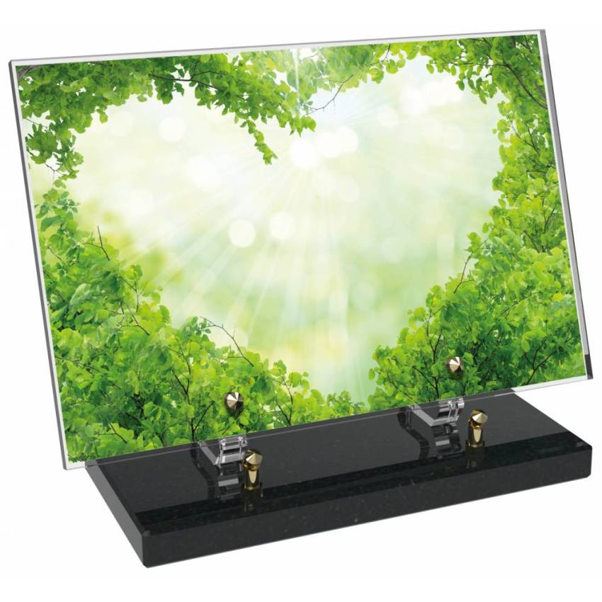 Epic Rectangular Plexiglas passion
