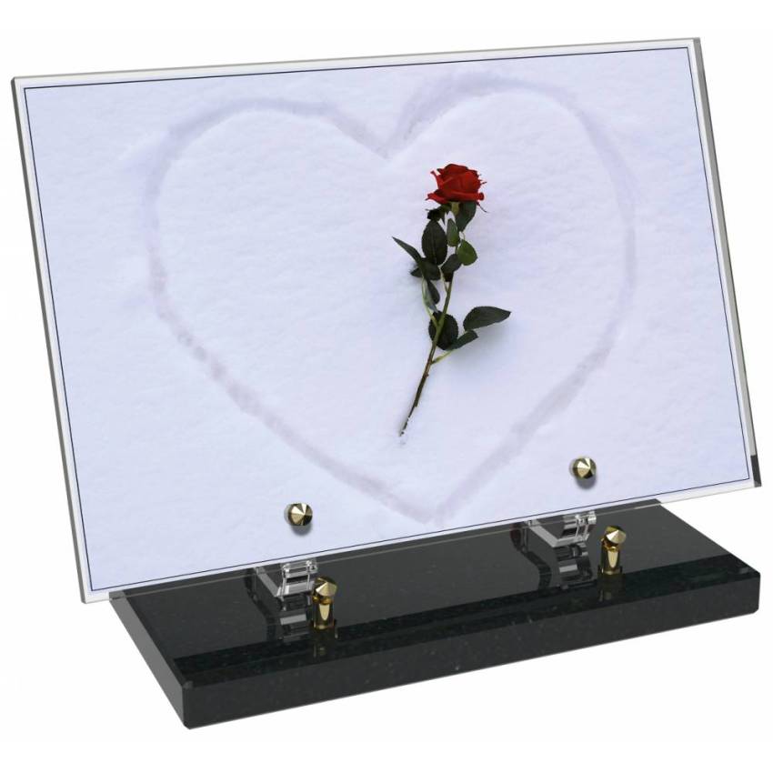Epic Rectangular Plexiglas passion