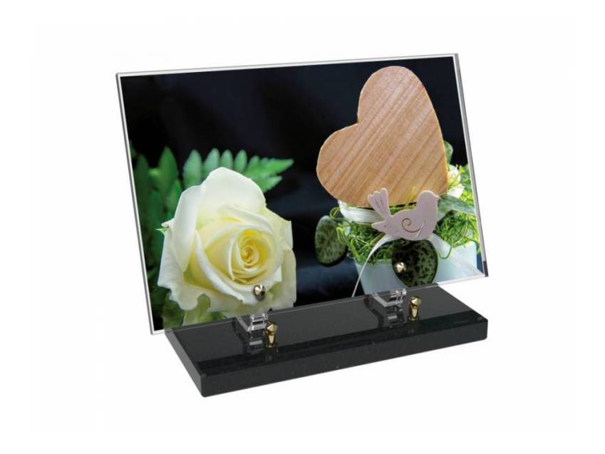 Epic Rectangular Plexiglas passion