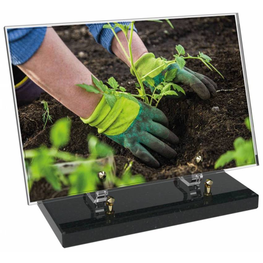 Plaque Plexiglas Rectangle estime