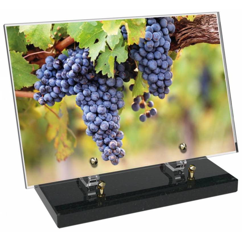 Plaque funéraire Vigne