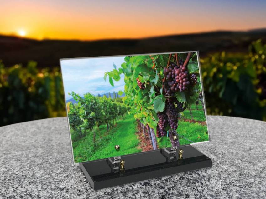 Plaque funéraire Vigne