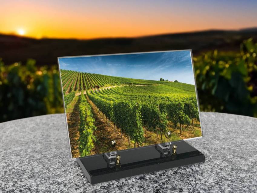 Plaque funéraire Vigne