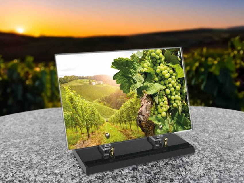Plaque funéraire Vigne