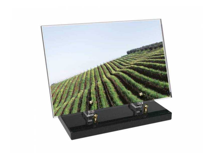 Plaque funéraire Vigne