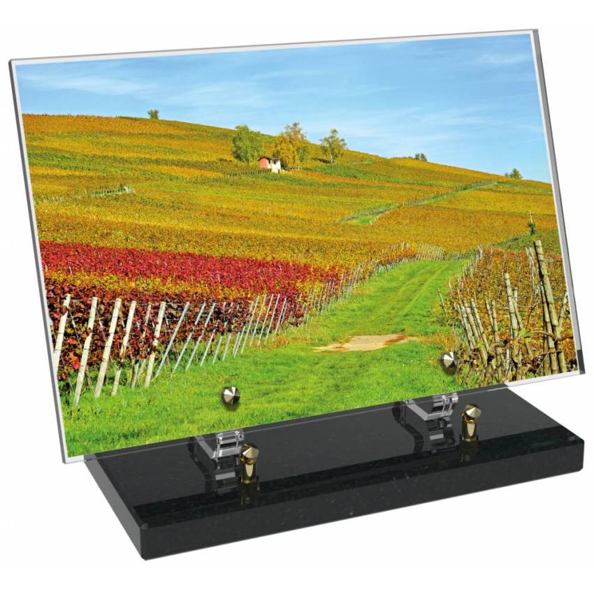 Plaque funéraire Vigne