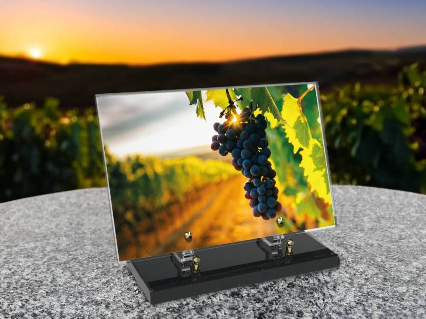 Plaque funéraire Vigne