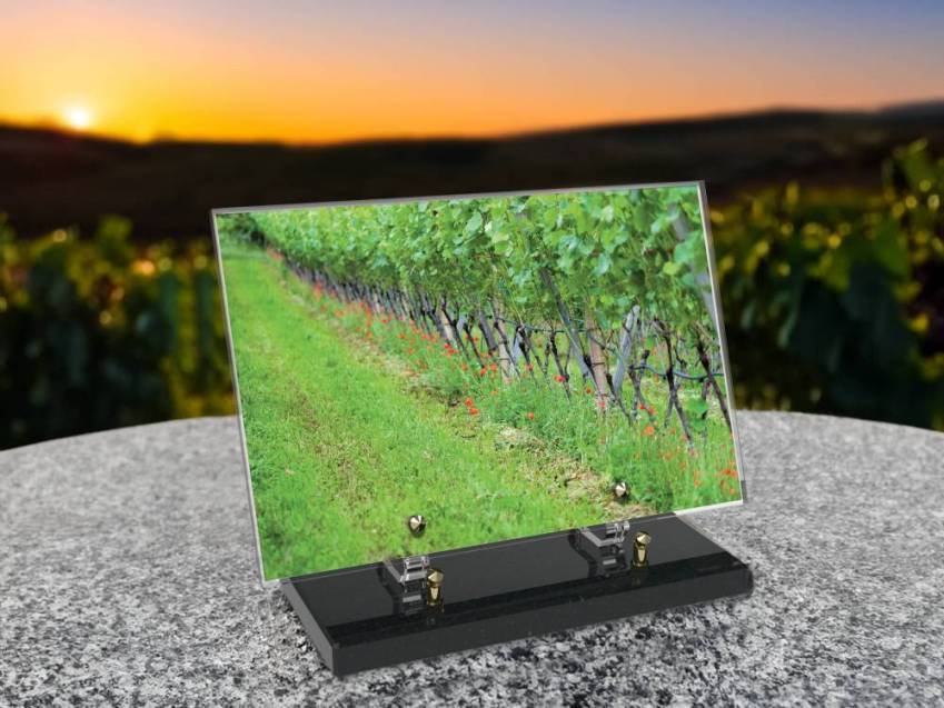 Plaque funéraire Vigne