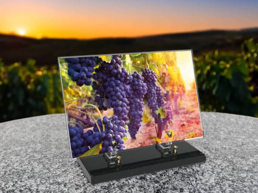 Plaque funéraire Vigne
