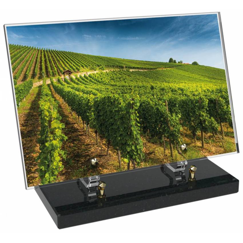 Plaque funéraire Vigne