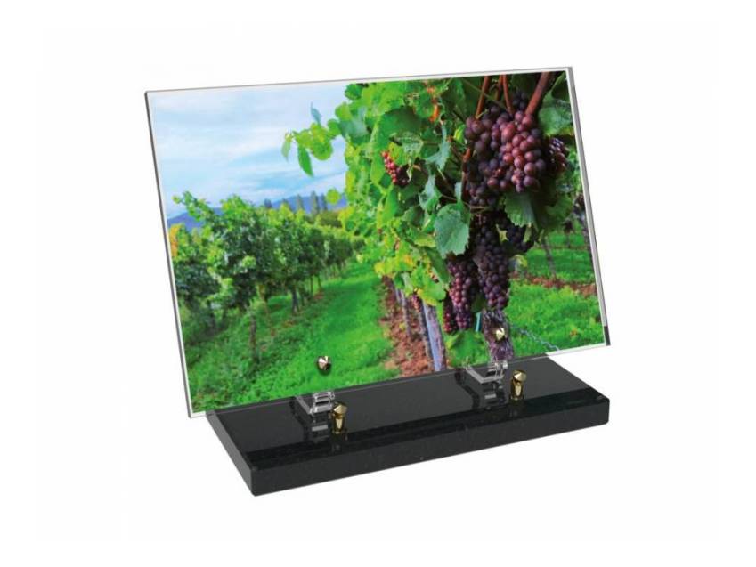 Plaque funéraire Vigne
