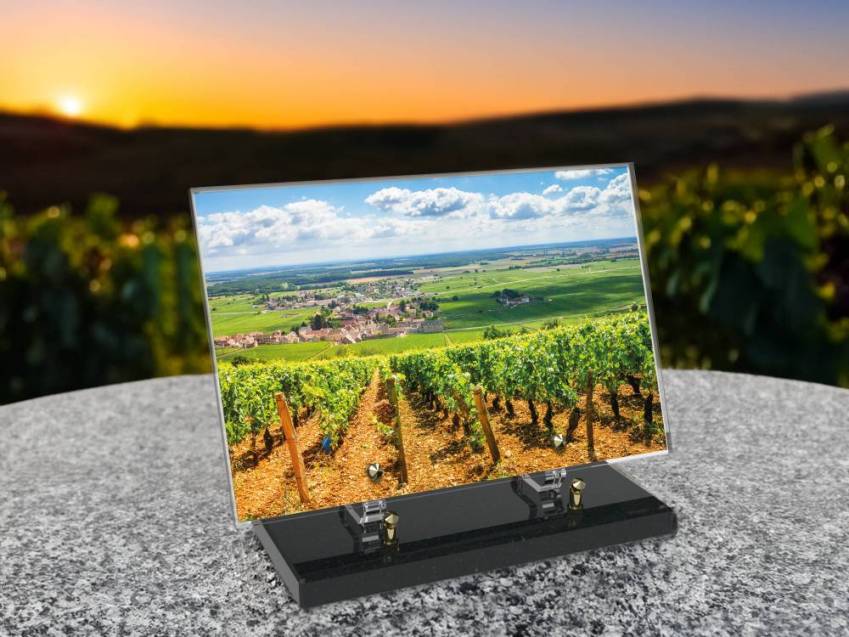 Plaque funéraire Vigne