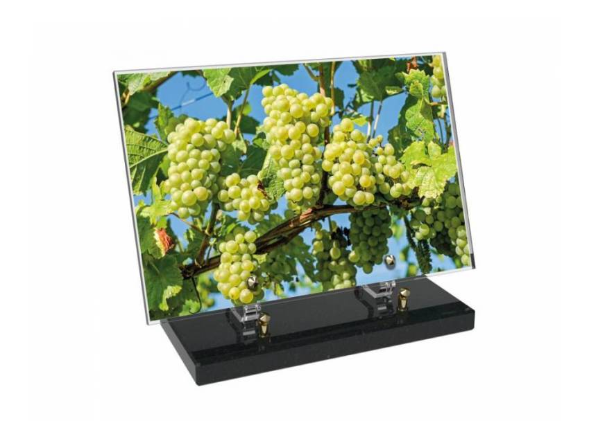 Plaque funéraire Vigne
