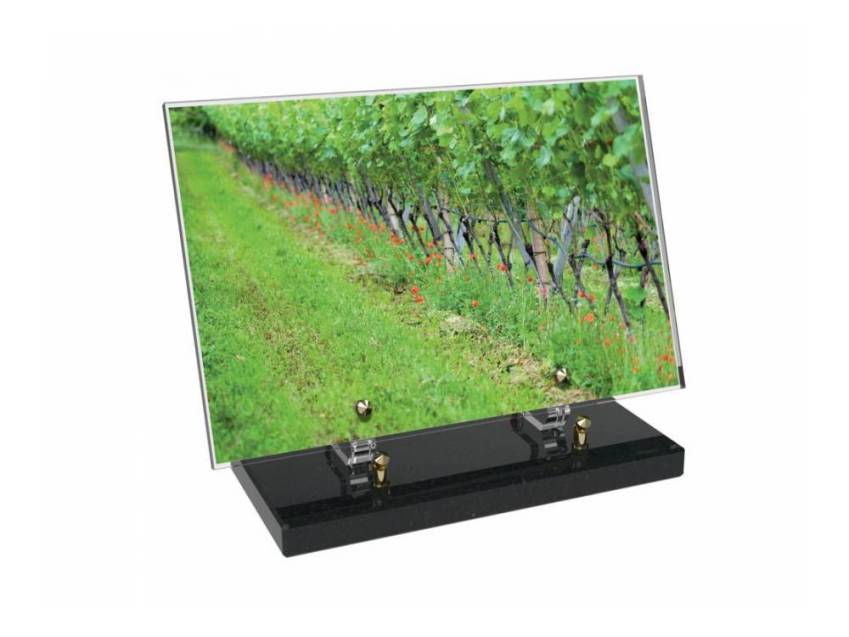Plaque funéraire Vigne
