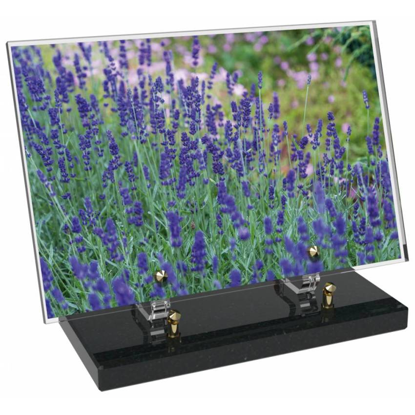 Plaque Plexiglas Rectangle ésthétique
