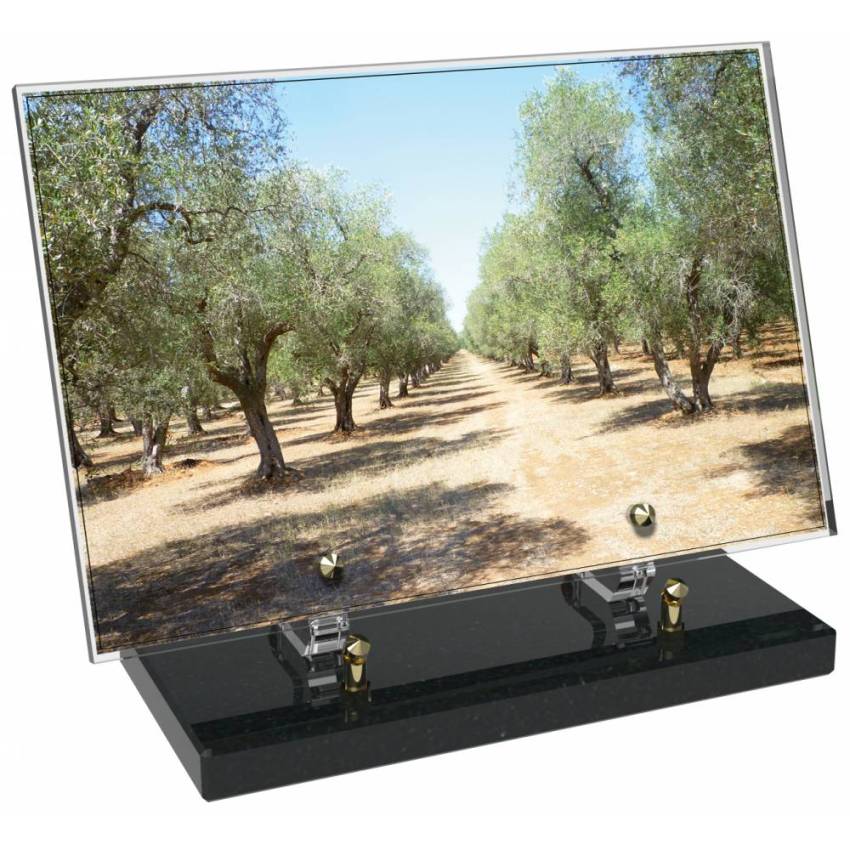 Provence tombstone