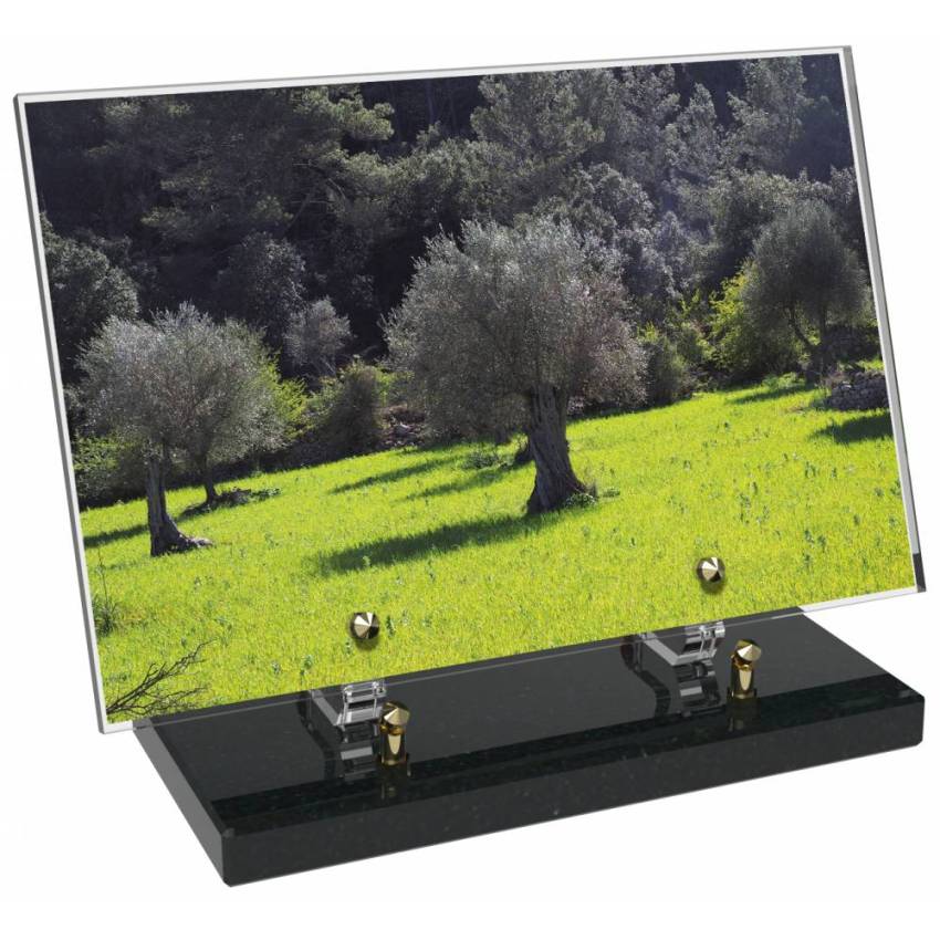 Plaque Plexiglas Rectangle ésthétique