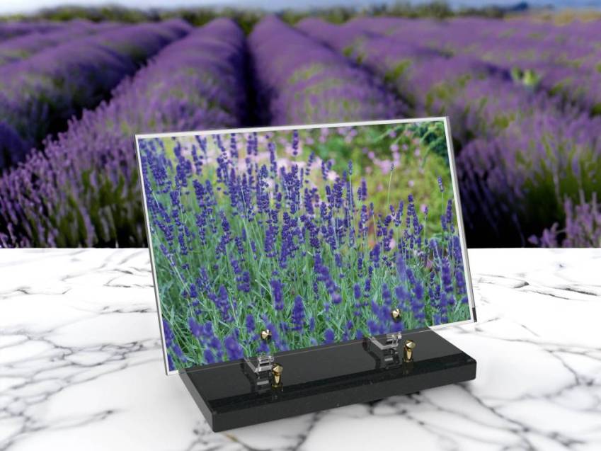 Plaque Plexiglas Rectangle ésthétique