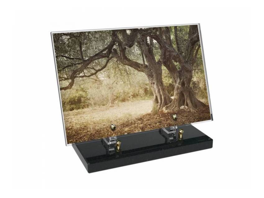 Plaque Plexiglas Rectangle passion nature
