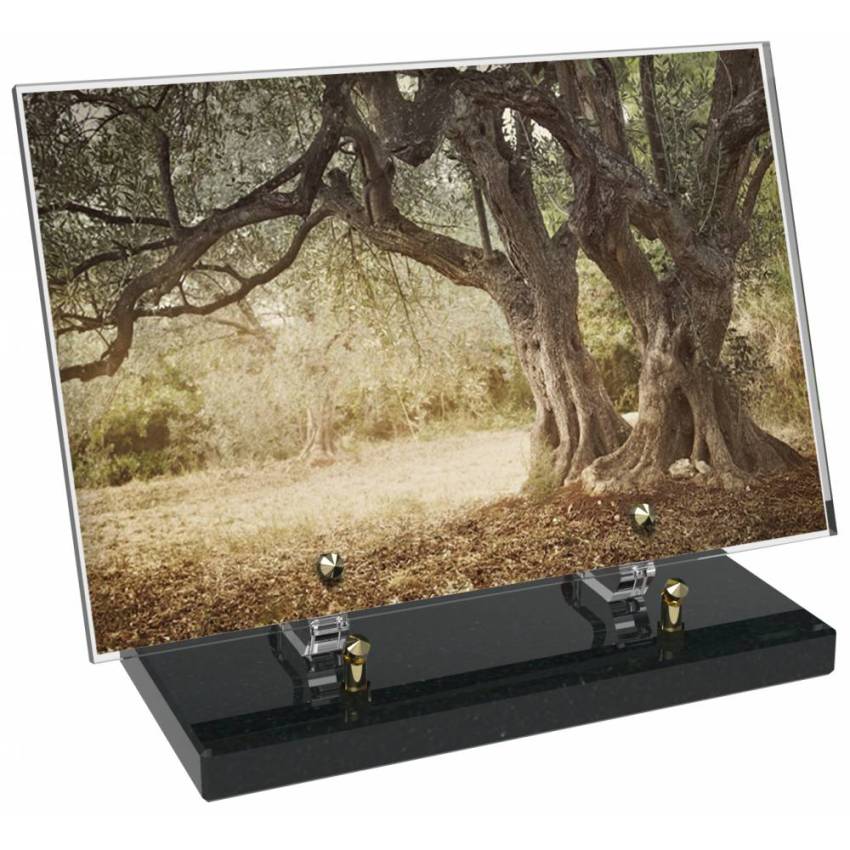Plaque Plexiglas Rectangle passion nature
