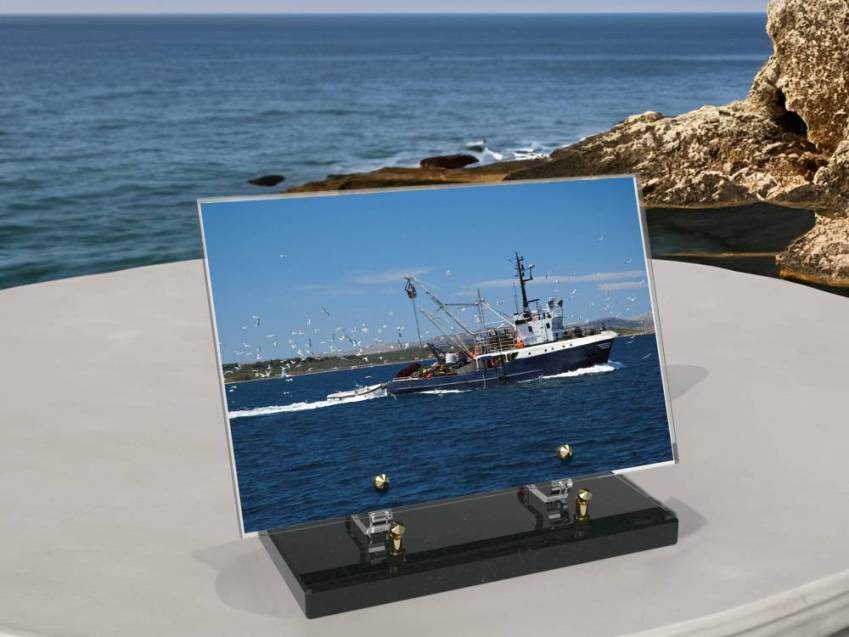 Rectangle Plexiglas Plate Sea