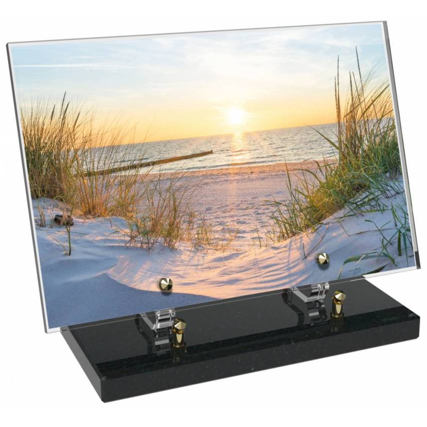 Rectangle Plexiglas Plate Sea