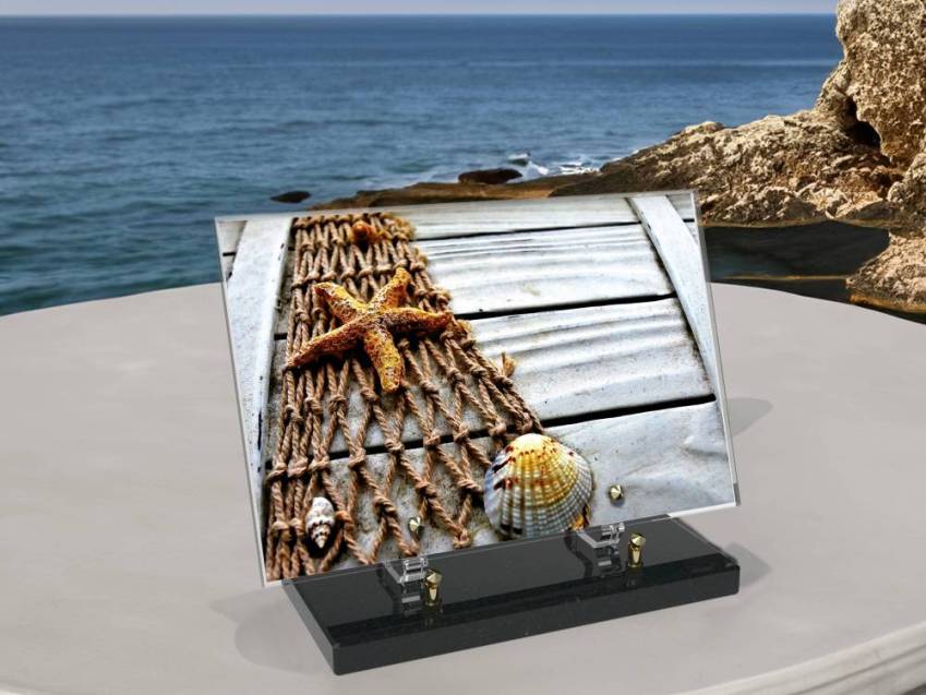 Rectangle Plexiglas Plate Sea