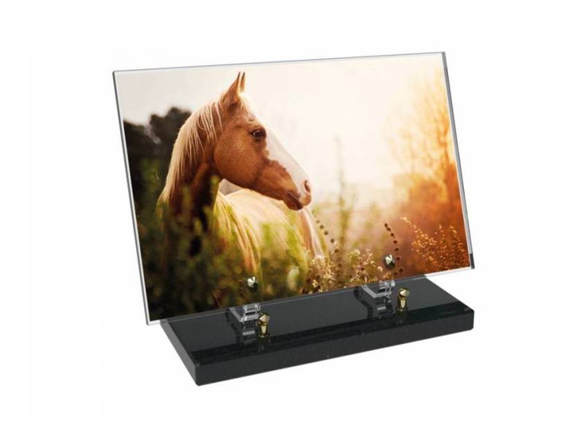 Plaque Plexiglas Rectangle symbolique animaux