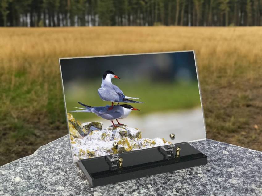 Altar tombstone article