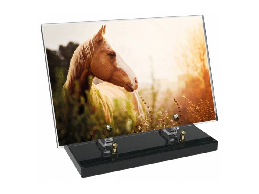 Plaque Plexiglas Rectangle symbolique animaux