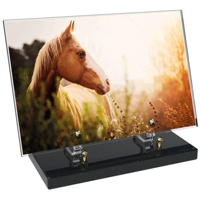Plaque Plexiglas Rectangle symbolique animaux