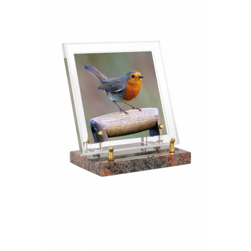 Plexiglas Rectangle Harmony Plaque.