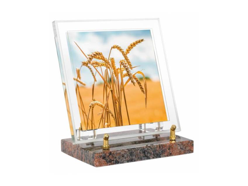 Plexiglas Rectangle Harmony Plaque.