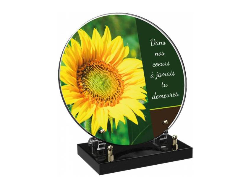 Engraved Plexiglas tribute plaque in English.