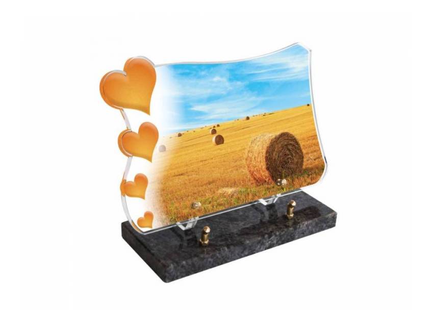 Plexiglas plaque with distinguished design.