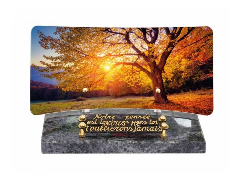 Idyllic Rectangular Plexiglas Plaque.