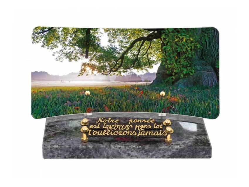 Idyllic Rectangular Plexiglas Plaque.