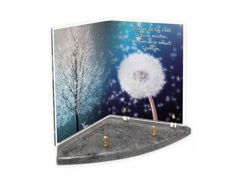 Plexiglas plaque memory book.