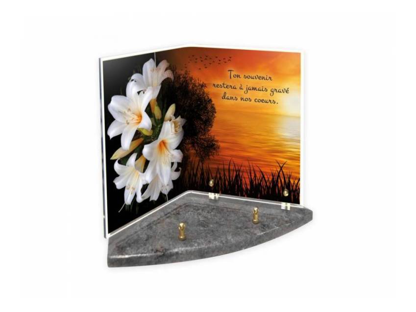 Plexiglas plaque memory book.