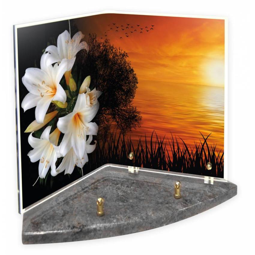 Plexiglas plaque memory book.