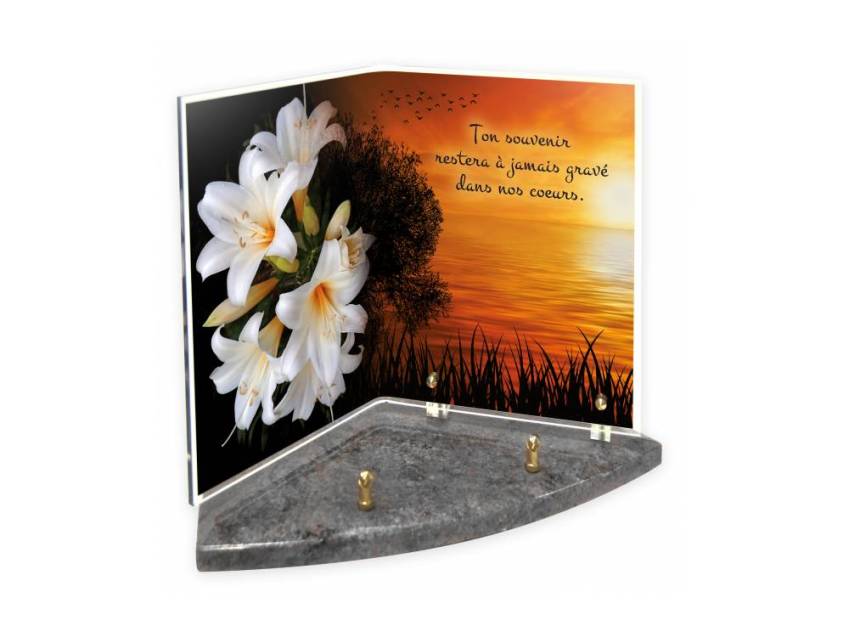 Plexiglas plaque memory book.