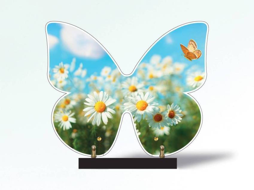 Butterfly eternal Plexiglas plaque.