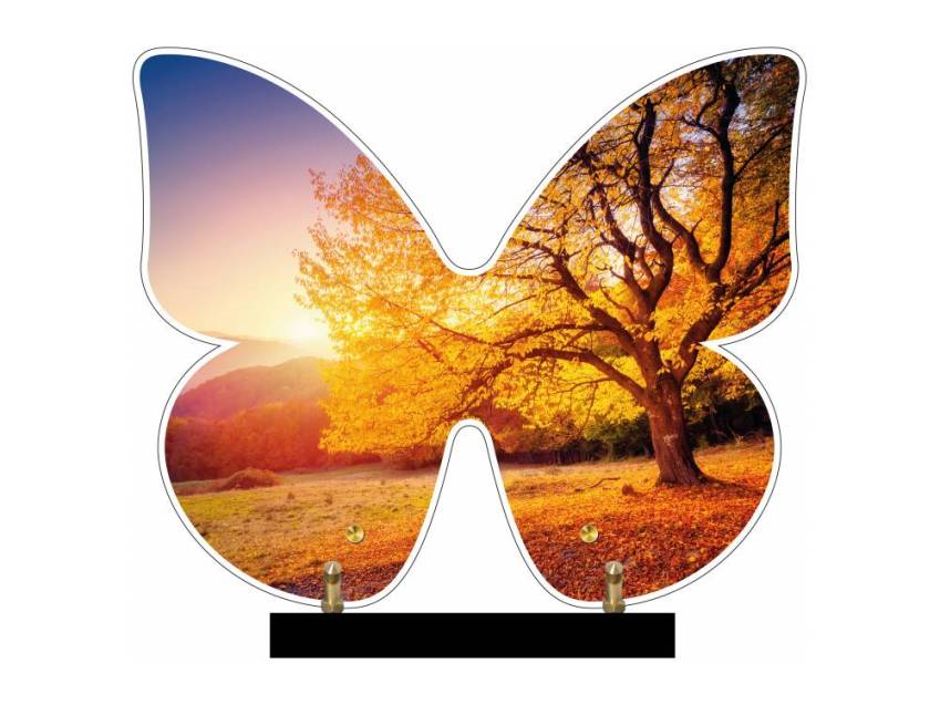 Butterfly eternal Plexiglas plaque.