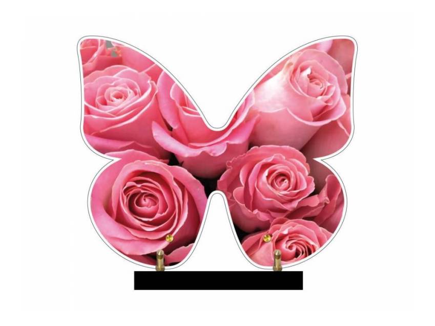 Butterfly eternal Plexiglas plaque.