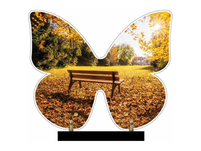 Butterfly eternal Plexiglas plaque.