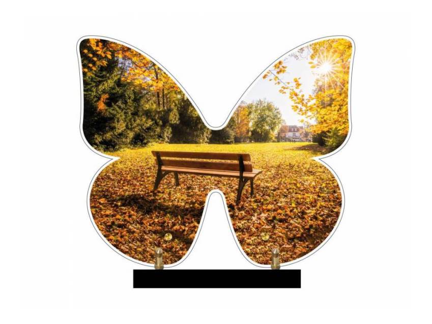 Butterfly eternal Plexiglas plaque.